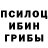Псилоцибиновые грибы Psilocybe Jaxcel Jones