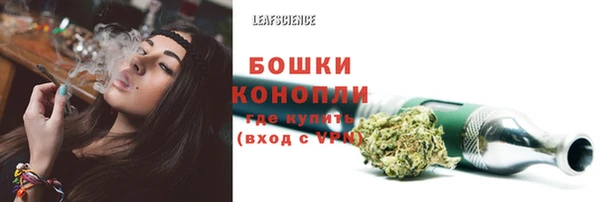 соль ск Инта